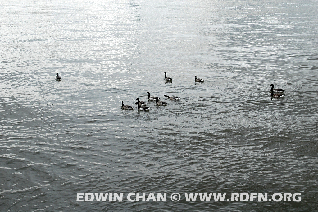 DSC_0125.JPG
