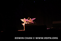 DSC_0798.JPG