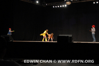 DSC_0375.JPG